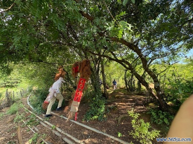 智塑未来, 山林里的医药：纳西东巴文化中的生命智慧
