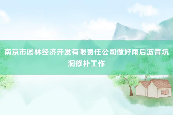 南京市园林经济开发有限责任公司做好雨后沥青坑洞修补工作