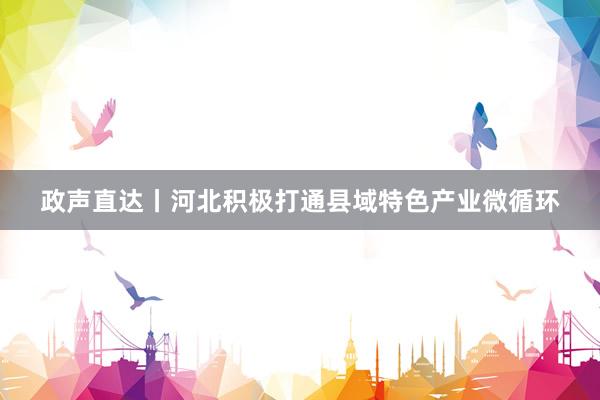 政声直达丨河北积极打通县域特色产业微循环