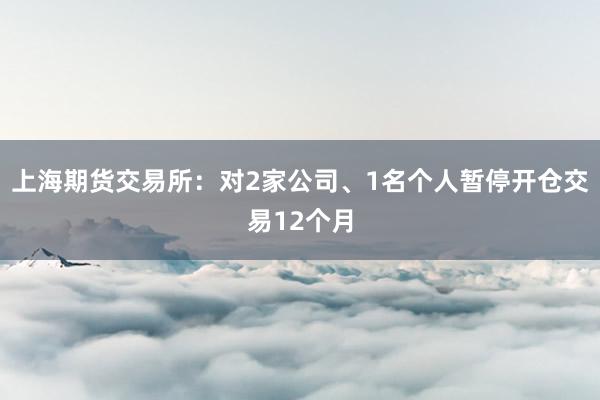 上海期货交易所：对2家公司、1名个人暂停开仓交易12个月