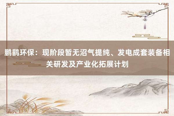 鹏鹞环保：现阶段暂无沼气提纯、发电成套装备相关研发及产业化拓展计划