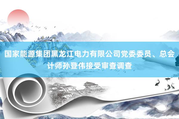 国家能源集团黑龙江电力有限公司党委委员、总会计师孙登伟接受审查调查