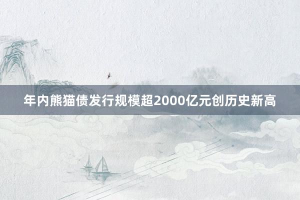 年内熊猫债发行规模超2000亿元创历史新高