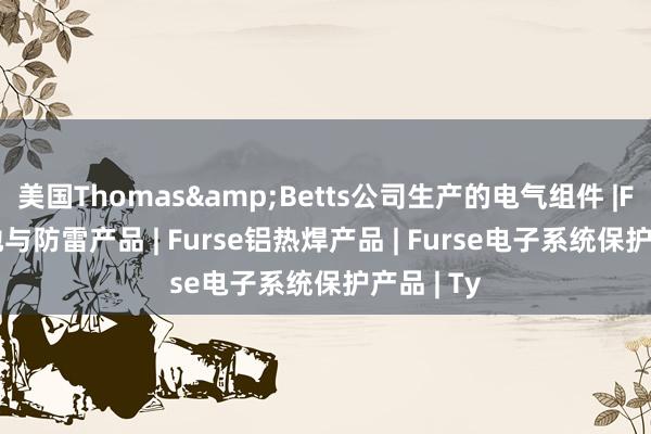 美国Thomas&Betts公司生产的电气组件 |Furse接地与防雷产品 | Furse铝热焊产品 | Furse电子系统保护产品 | Ty