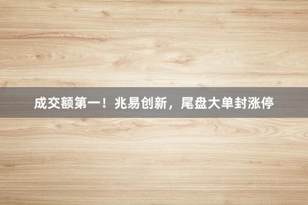 成交额第一！兆易创新，尾盘大单封涨停