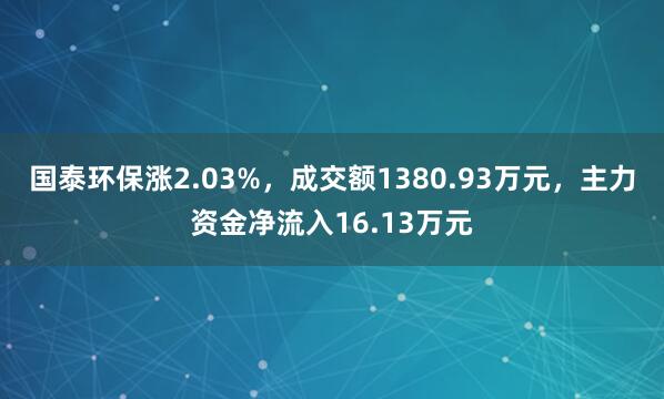 国泰环保涨2.03%，成交额1380.93万元，主力资金净流入16.13万元