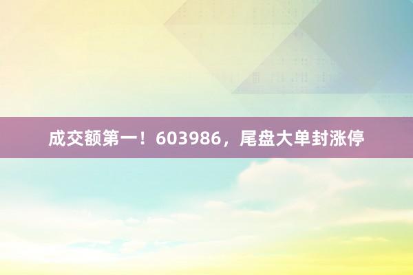 成交额第一！603986，尾盘大单封涨停