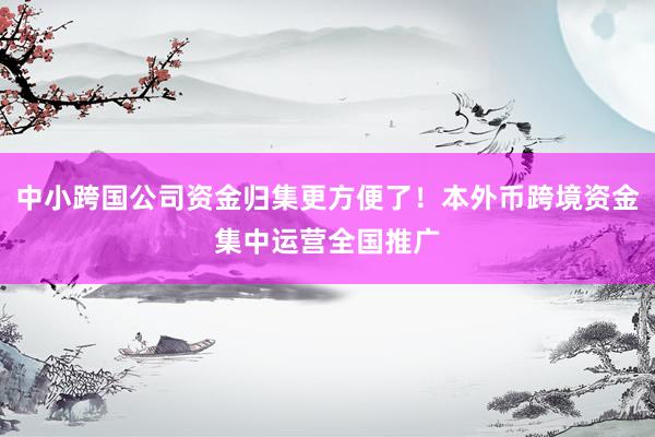 中小跨国公司资金归集更方便了！本外币跨境资金集中运营全国推广