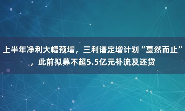 上半年净利大幅预增，三利谱定增计划“戛然而止”，此前拟募不超5.5亿元补流及还贷