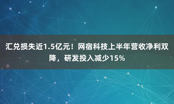 汇兑损失近1.5亿元！网宿科技上半年营收净利双降，研发投入减少15%