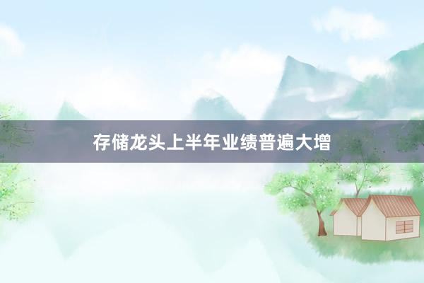 存储龙头上半年业绩普遍大增