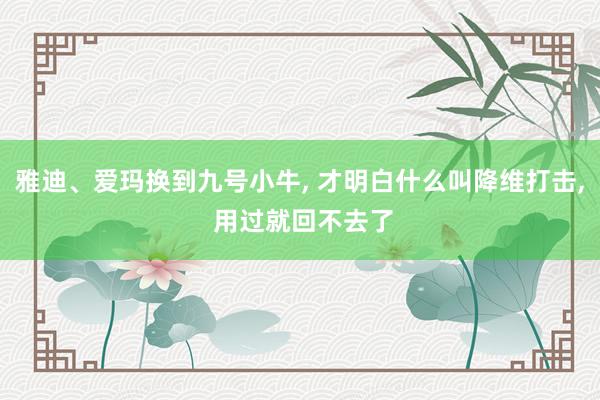 雅迪、爱玛换到九号小牛, 才明白什么叫降维打击, 用过就回不去了