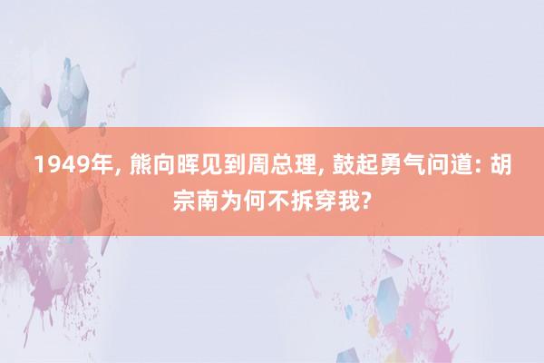 1949年, 熊向晖见到周总理, 鼓起勇气问道: 胡宗南为何不拆穿我?