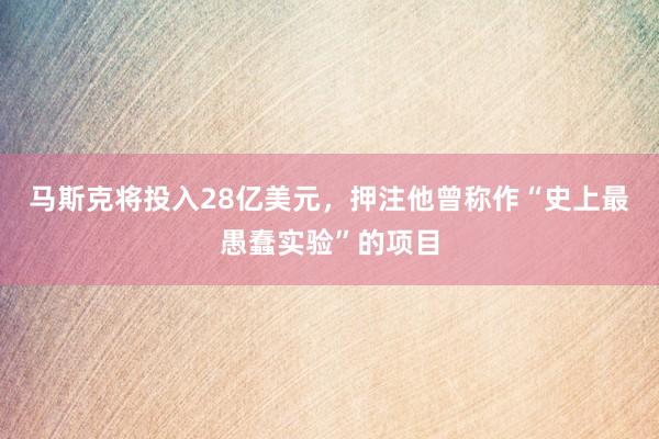 马斯克将投入28亿美元，押注他曾称作“史上最愚蠢实验”的项目