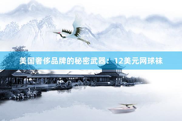 美国奢侈品牌的秘密武器：12美元网球袜