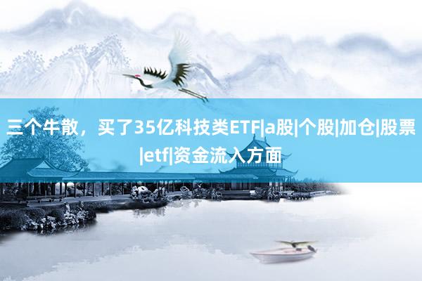 三个牛散，买了35亿科技类ETF|a股|个股|加仓|股票|etf|资金流入方面