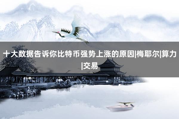十大数据告诉你比特币强势上涨的原因|梅耶尔|算力|交易