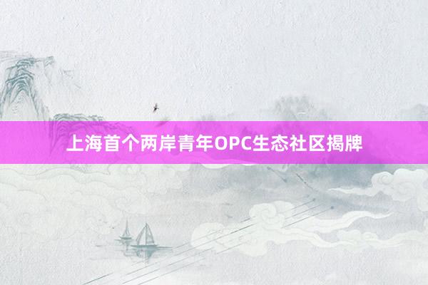 上海首个两岸青年OPC生态社区揭牌