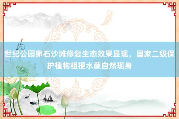 世纪公园卵石沙滩修复生态效果显现，国家二级保护植物粗梗水蕨自然现身