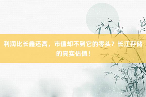 利润比长鑫还高，市值却不到它的零头？长江存储的真实估值！