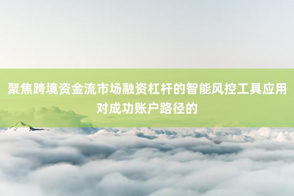 聚焦跨境资金流市场融资杠杆的智能风控工具应用对成功账户路径的