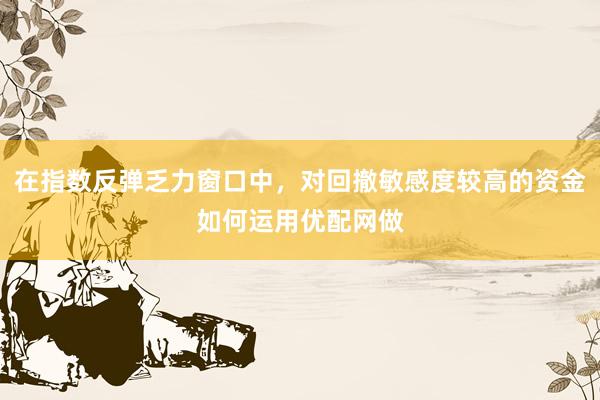 在指数反弹乏力窗口中，对回撤敏感度较高的资金如何运用优配网做