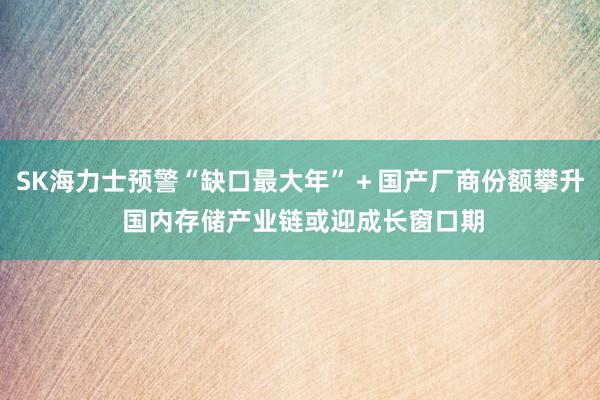 SK海力士预警“缺口最大年”＋国产厂商份额攀升 国内存储产业链或迎成长窗口期