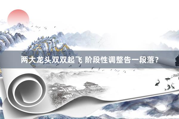 两大龙头双双起飞 阶段性调整告一段落？