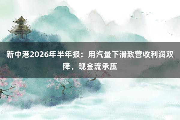 新中港2026年半年报：用汽量下滑致营收利润双降，现金流承压