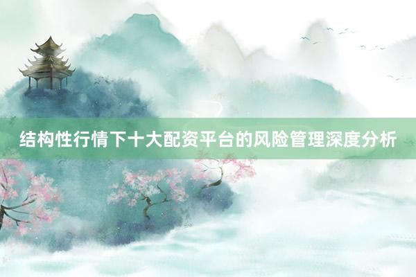 结构性行情下十大配资平台的风险管理深度分析