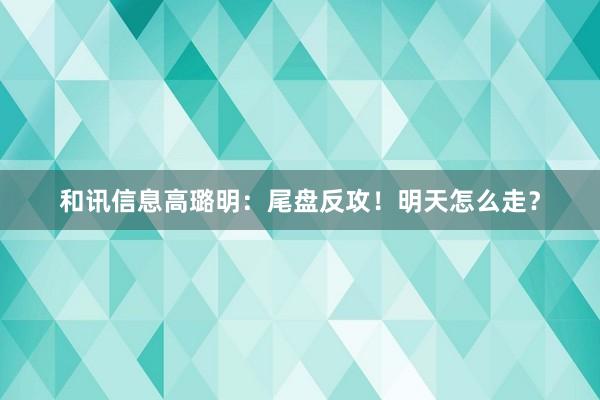 和讯信息高璐明：尾盘反攻！明天怎么走？