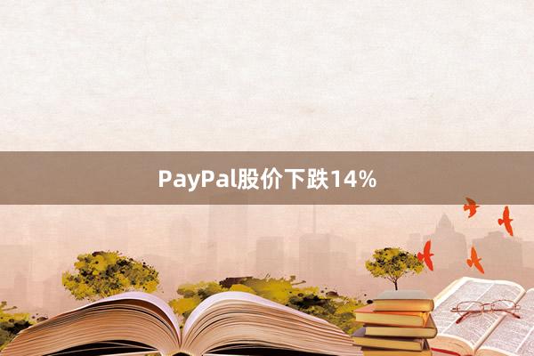 PayPal股价下跌14%