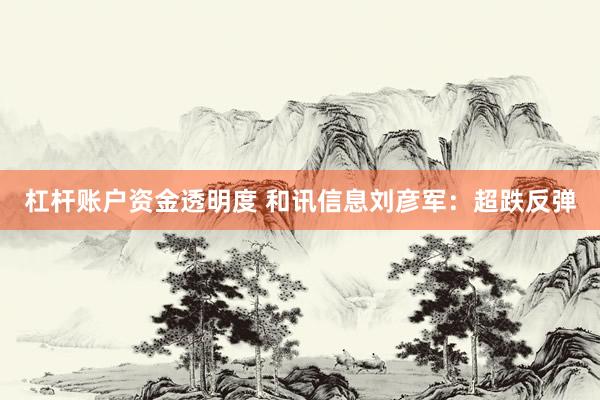 杠杆账户资金透明度 和讯信息刘彦军：超跌反弹