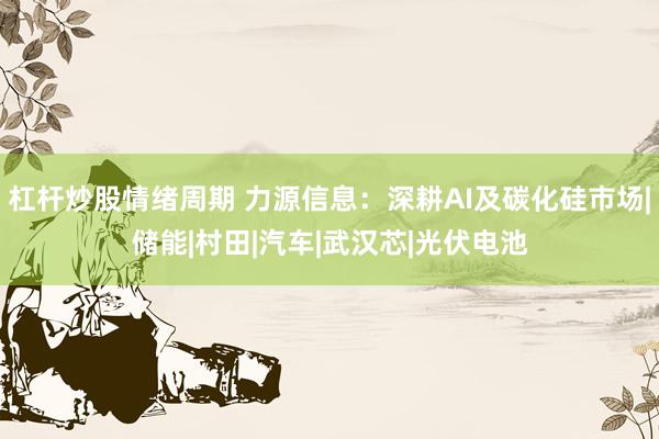 杠杆炒股情绪周期 力源信息：深耕AI及碳化硅市场|储能|村田|汽车|武汉芯|光伏电池