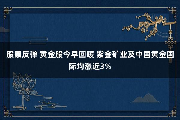 股票反弹 黄金股今早回暖 紫金矿业及中国黄金国际均涨近3%