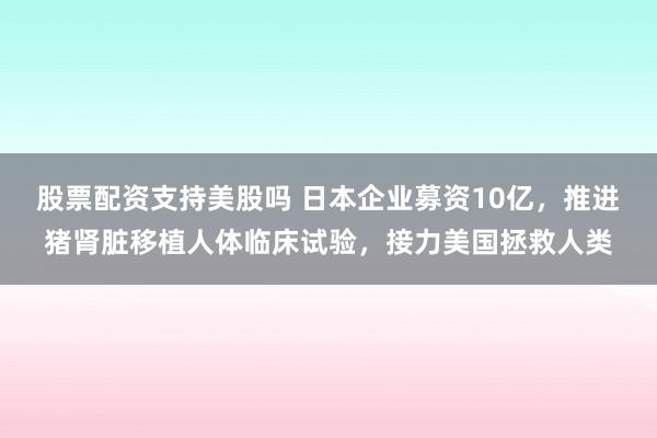 股票配资支持美股吗 日本企业募资10亿，推进猪肾脏移植人体临床试验，接力美国拯救人类