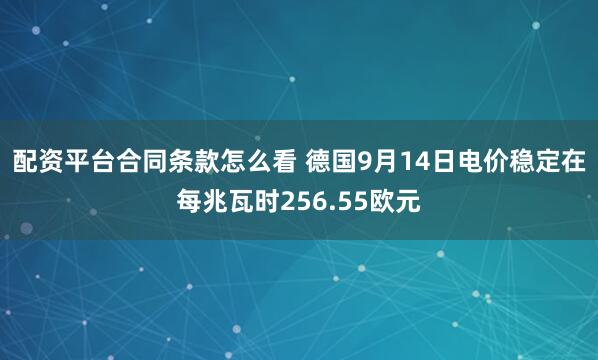 配资平台合同条款怎么看 德国9月14日电价稳定在每兆瓦时256.55欧元