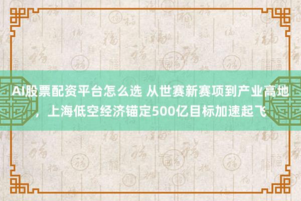 AI股票配资平台怎么选 从世赛新赛项到产业高地,上海低空经济锚定500亿目标加速起飞