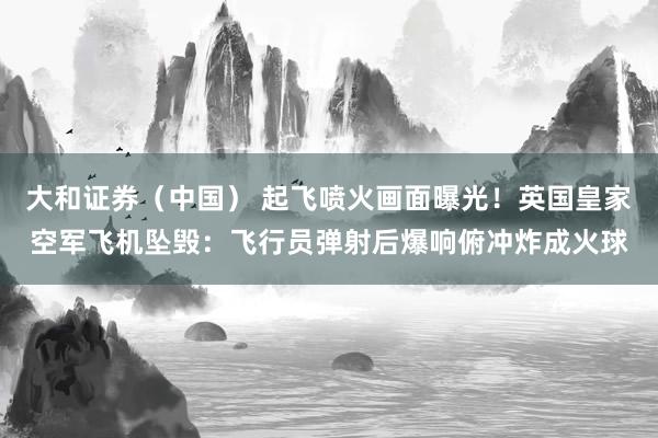 大和证券（中国） 起飞喷火画面曝光！英国皇家空军飞机坠毁：飞行员弹射后爆响俯冲炸成火球