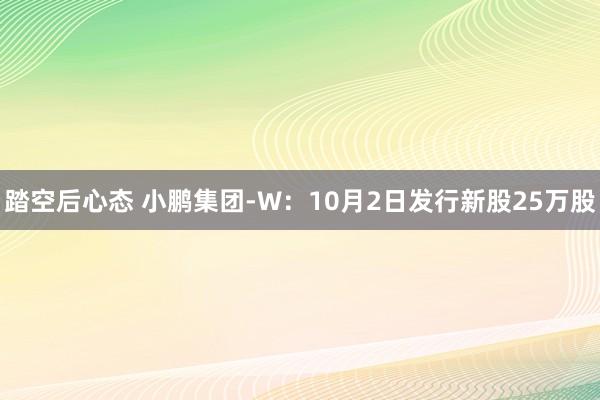 踏空后心态 小鹏集团-W：10月2日发行新股25万股