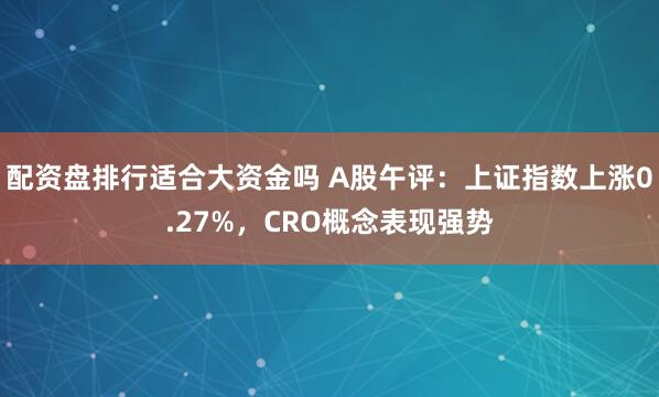 配资盘排行适合大资金吗 A股午评：上证指数上涨0.27%，CRO概念表现强势