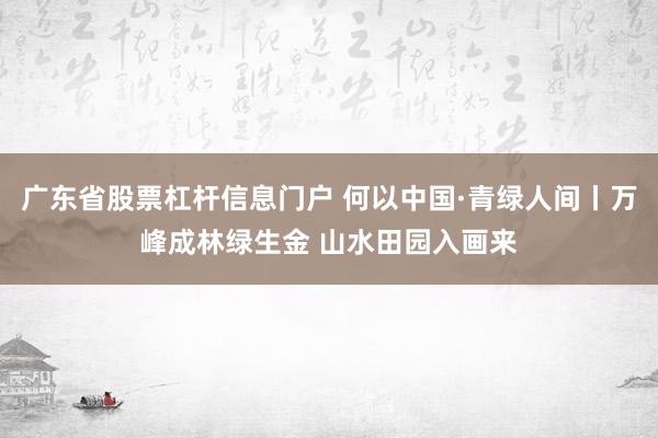 广东省股票杠杆信息门户 何以中国·青绿人间丨万峰成林绿生金 山水田园入画来