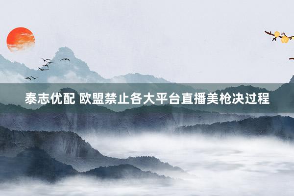 泰志优配 欧盟禁止各大平台直播美枪决过程